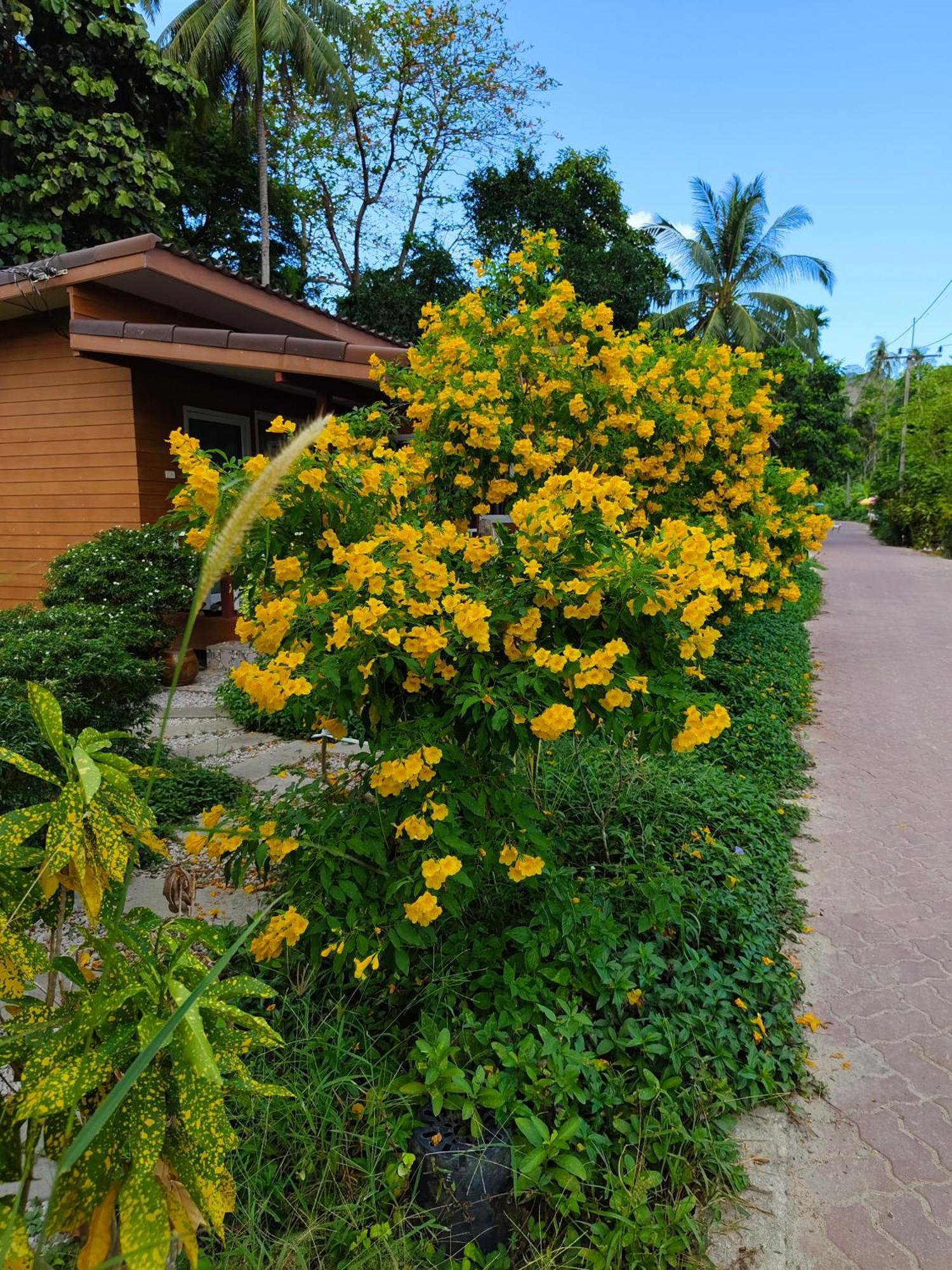 Mook Paradise Bungalow Muk-sziget Kültér fotó